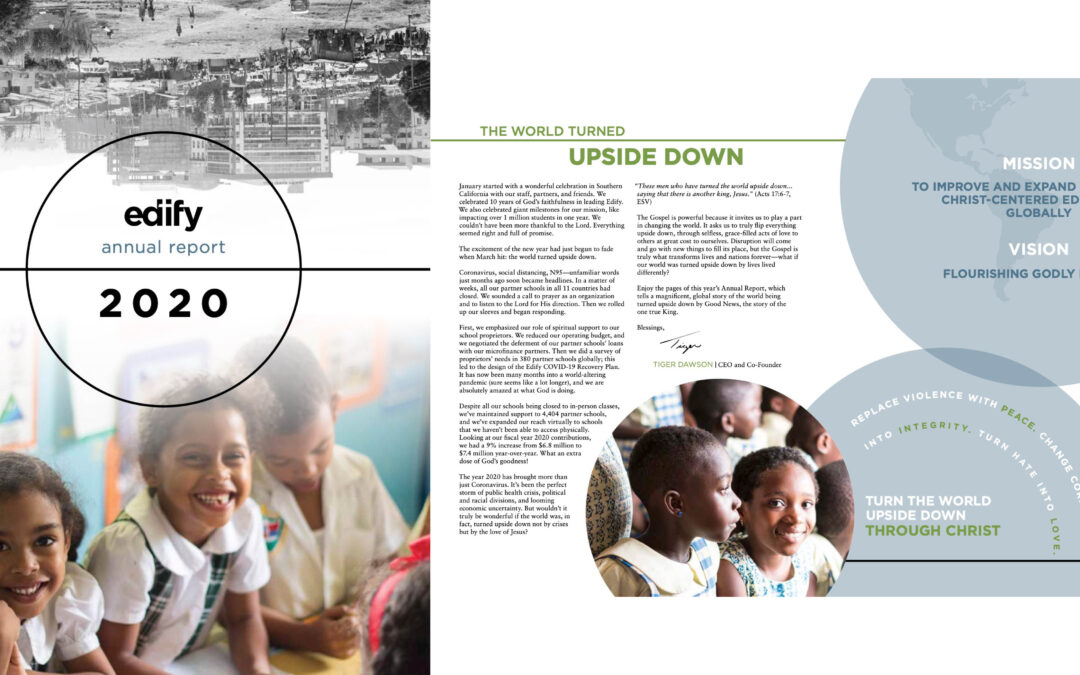 The World Turned Upside Down: Our 2020 Annual Report