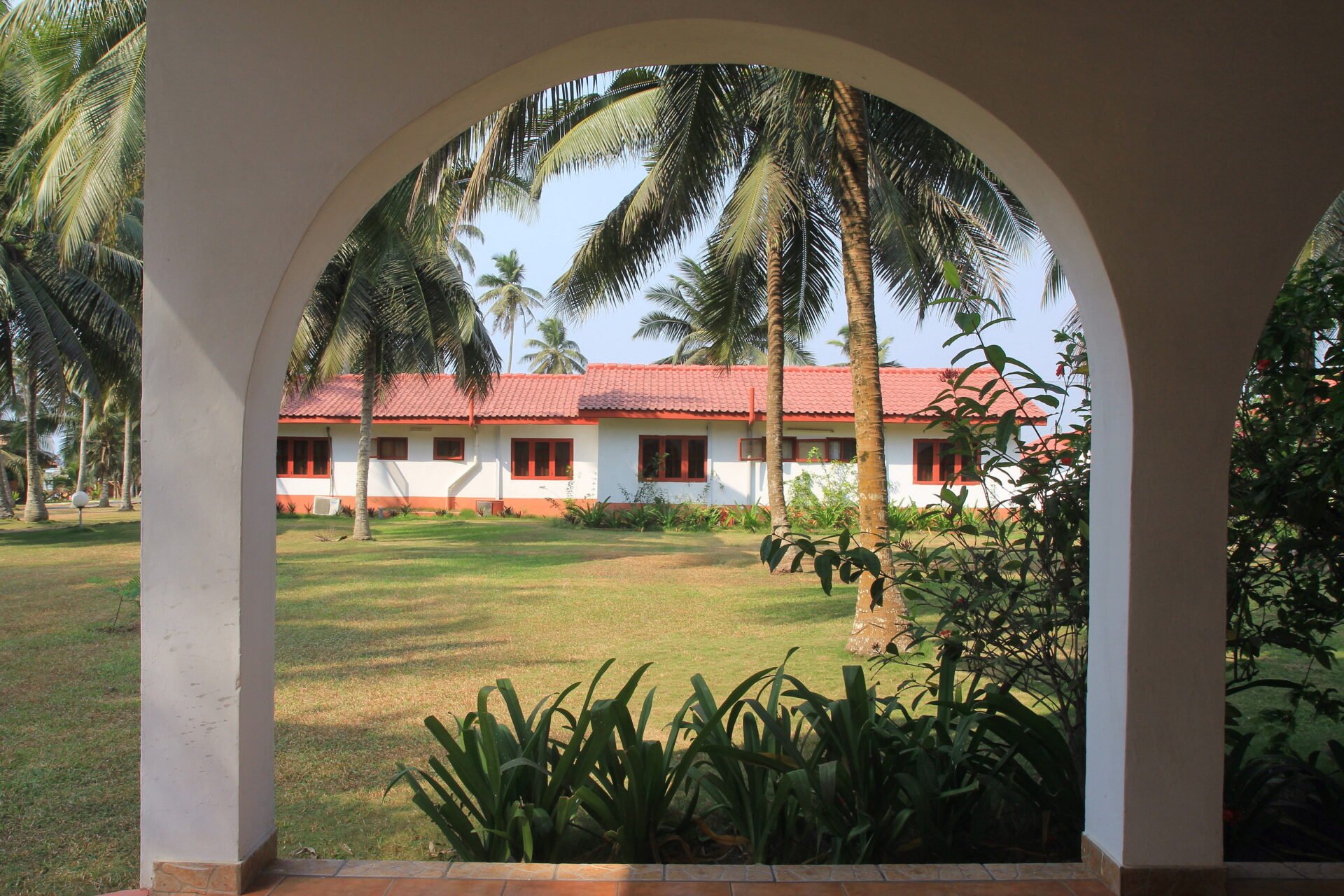 school behind palm trees