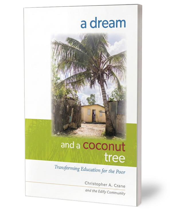 A Dream and a Coconut Tree Book Cover